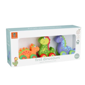 Orange Tree Toys OTT07403 Puidust dinosauruste komplekt